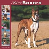 Boxers 366 Days 2008 Square Wall