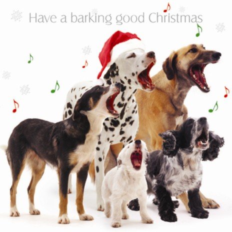 Childrens Toyshop  Kitchen & Housewares : Barking Good Christmas Mixed Dogs Christmas Card Pack