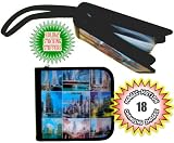 Magic Motion Chicago CD DVD Souvenir Storager Case