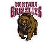 Montana Grizzlies Team Auto Window Decal (12 x 10 -inch)