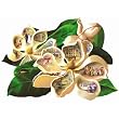 Dixie Dreams Shaped Jigsaw Puzzle by Roberta Wesley 1000pc