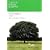 TOKYO KOEN SAMPO ���������U�� (P-Vine BOOks)