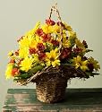 Flowers & Gifts - fall daisy basket - Medium