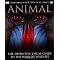 read and watch great animal stories