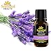 Lavender Essential Oil By Scential Health 15ml (.5oz) 100% Certified Pure Therapeutic Grade Essential Oil With No Fillers, Bases or Additives AND ZERO Carrier Oils
