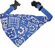 Dog Bandana Collar (GREEN)