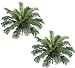 TWO 25" Cycas Palm Artificial Tree Silk Plants
