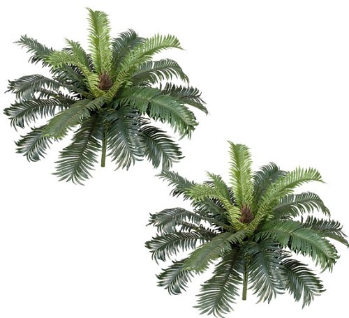 TWO 25″ Cycas Palm Artificial Tree Silk Plants