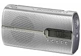 Grundig Music 51 Tragbares Radio (UKW/PLL-Tuner, LC-Display) chrome