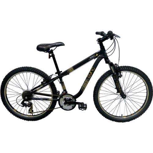 sync notch 24 bike