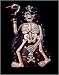 34 Animated Pirate Skeleton With Hook Halloween 50-Light Lighted Yard Art #650062