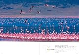 世界一の写真集―完全保存版 世界名景紀行