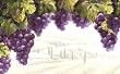 Vineyard Views Magnetic Address Marker