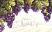 Vineyard Views Magnetic Address Marker