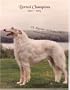 Borzoi Champions, 2002-2005