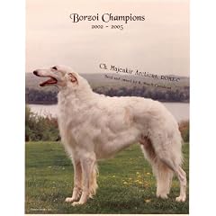Borzoi Champions, 2002-2005