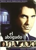 The Practice - Season One / El Abogado