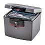 SentrySafe H4300 FIRE-SAFE Waterproof File, 0.68 Cubic Feet, Silver Gray