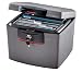 Tools & Hardware : SentrySafe H4300 FIRE-SAFE Waterproof File, 0.68 Cubic Feet, Silver Gray