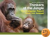 Thinkers of the Jungle