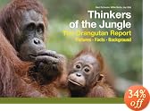 Thinkers of the Jungle