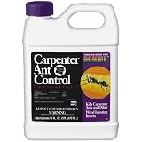 51iAy3LnsNL. SL160  Bonide 373 Carpenter Ant Control
