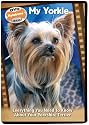 My Yorkie: Everything You Need to Know About Your Yorkshire Terrier