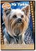My Yorkie: Everything You Need to Know About Your Yorkshire Terrier