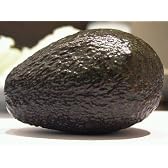 メキシコ産　アボカド24個入り箱