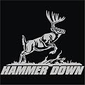 Hammer Down Window Decal - 5 x 8"