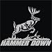 Hammer Down Window Decal - 5 x 8