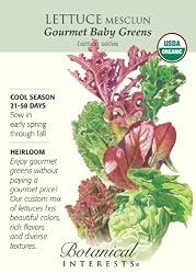 Lettuce Baby Mesclun Gourmet Certified Organic Heirloom Seeds 1200 Seeds