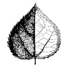 Visit This External Website