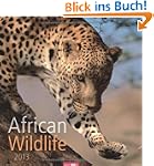 African Wildlife 2013