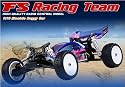 FS Racing Electric Rc Buggy PRO