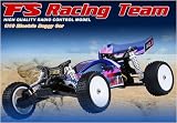 FS Racing Electric Rc Buggy PRO