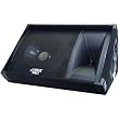 PYLE-PRO PASC12 - 600 Watt 12'' Two-Way Stage Monitor Speaker System
