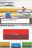 Pokemon HeartGold Version