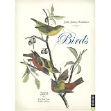 John James Audubon Birds 2009 Desk Calendar