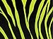 Lime Green & Black Zebra Animal Print Gift Wrap Wrapping Paper 16 Foot Roll