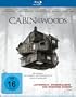 The Cabin in the Woods [Blu-ray]