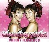 Cheeky Flamenco [2 Track CD] [CD 2]