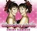 Cheeky Flamenco [2 Track CD] [CD 2]