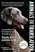 Animals In Translation