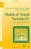 Models of Neural Networks IV: Early Vision and Attention (Physics of Neural Networks)
