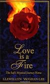 Love Is a Fire: The Sufi's Mystical Journey Home