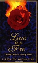 Love Is a Fire: The Sufi's Mystical Journey Home