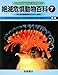 絶滅危惧動物百科〈7〉ゼノポエシルス‐ニシオウギタイランチョウ