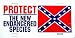 LP - 050 Protect the New Endangered Species License Plate - 1181