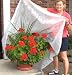 Frost Protek Plant Cover: Large, White